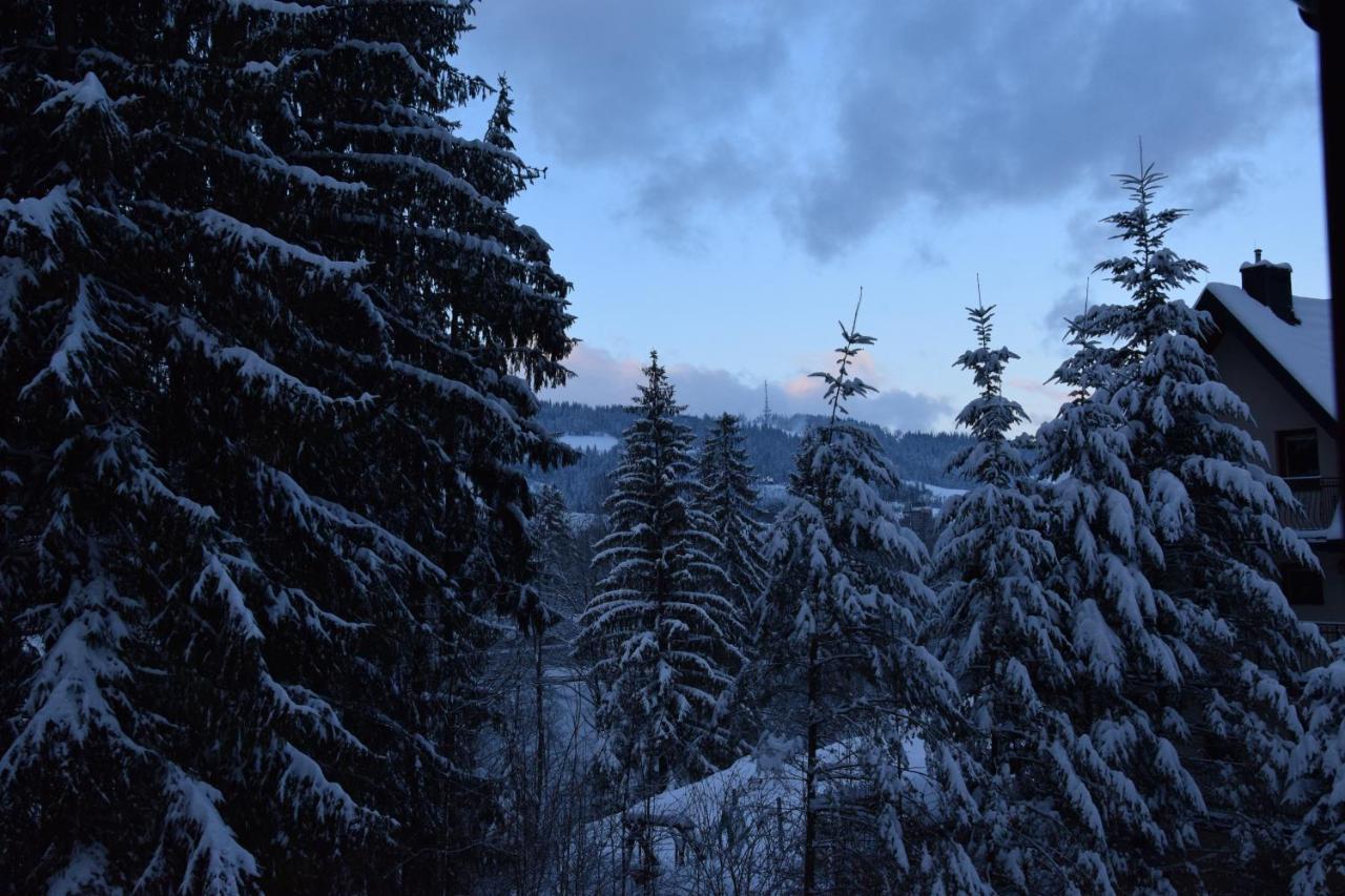 Willa Franciszek Zakopane Dış mekan fotoğraf